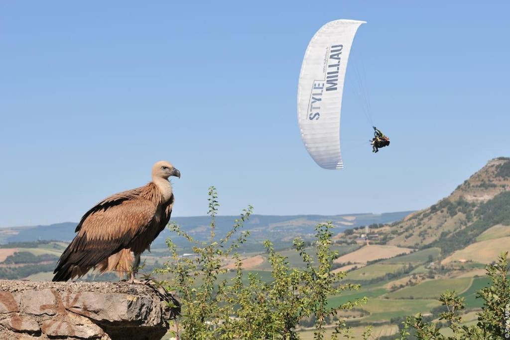 Confort, Wifi Et Garage Millau Buitenkant foto
